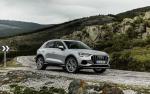 Audi Q3 Advanced 2018 года (WW)